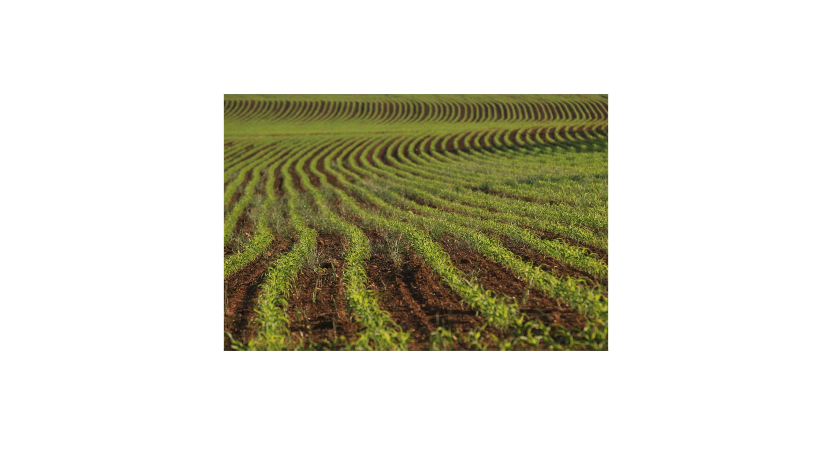 L’installation et la transmission des exploitations