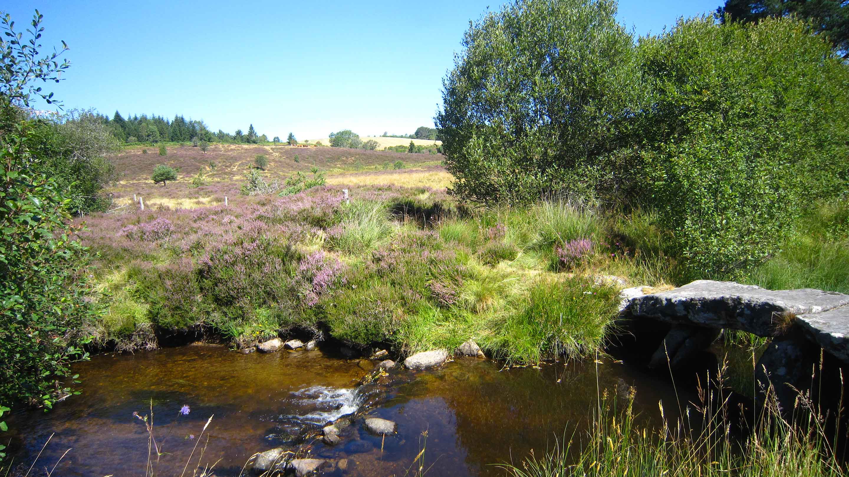 Photo de la RNR de la Haute Vallée de la Vézère