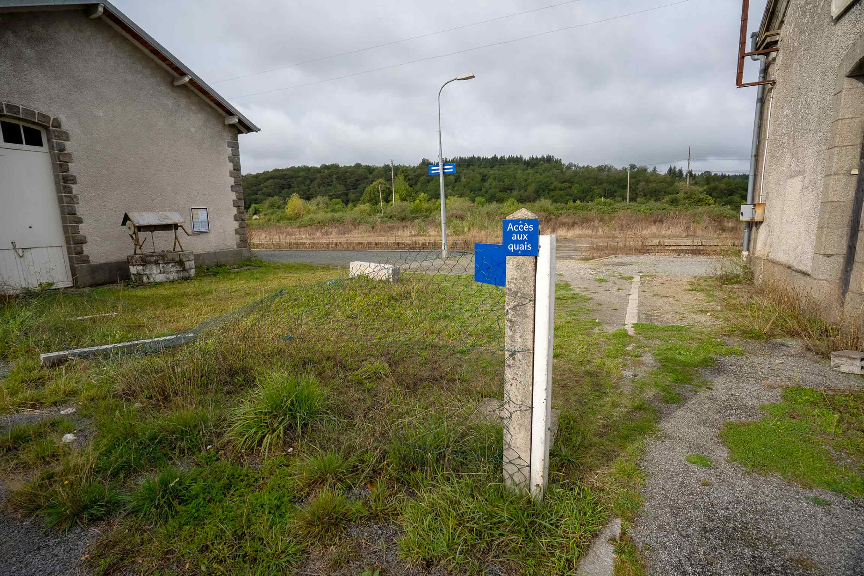 Photo d'un espace pour un jardinet