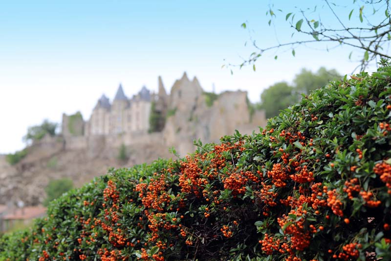 Vue sur le château