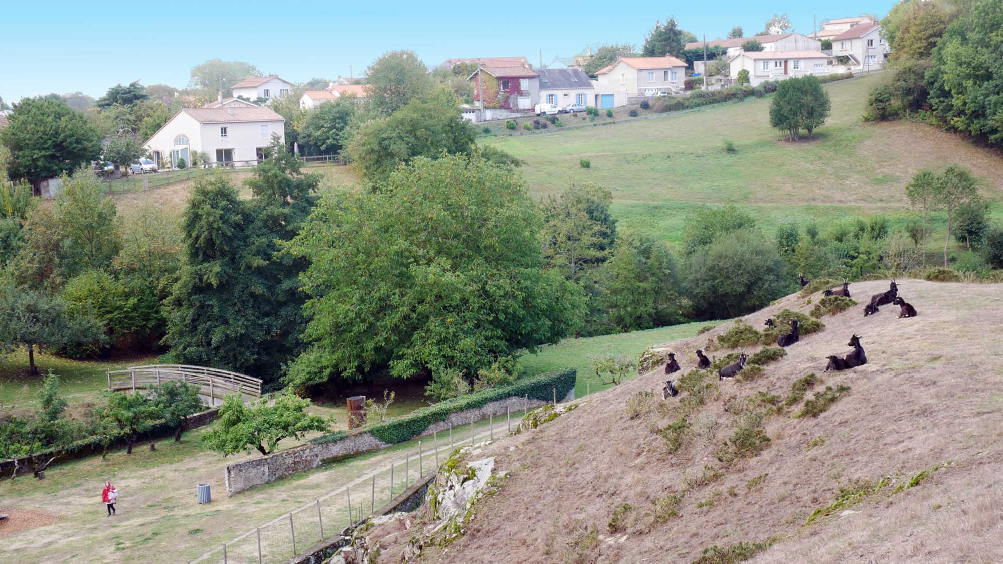Des chèvres paissent autour du château