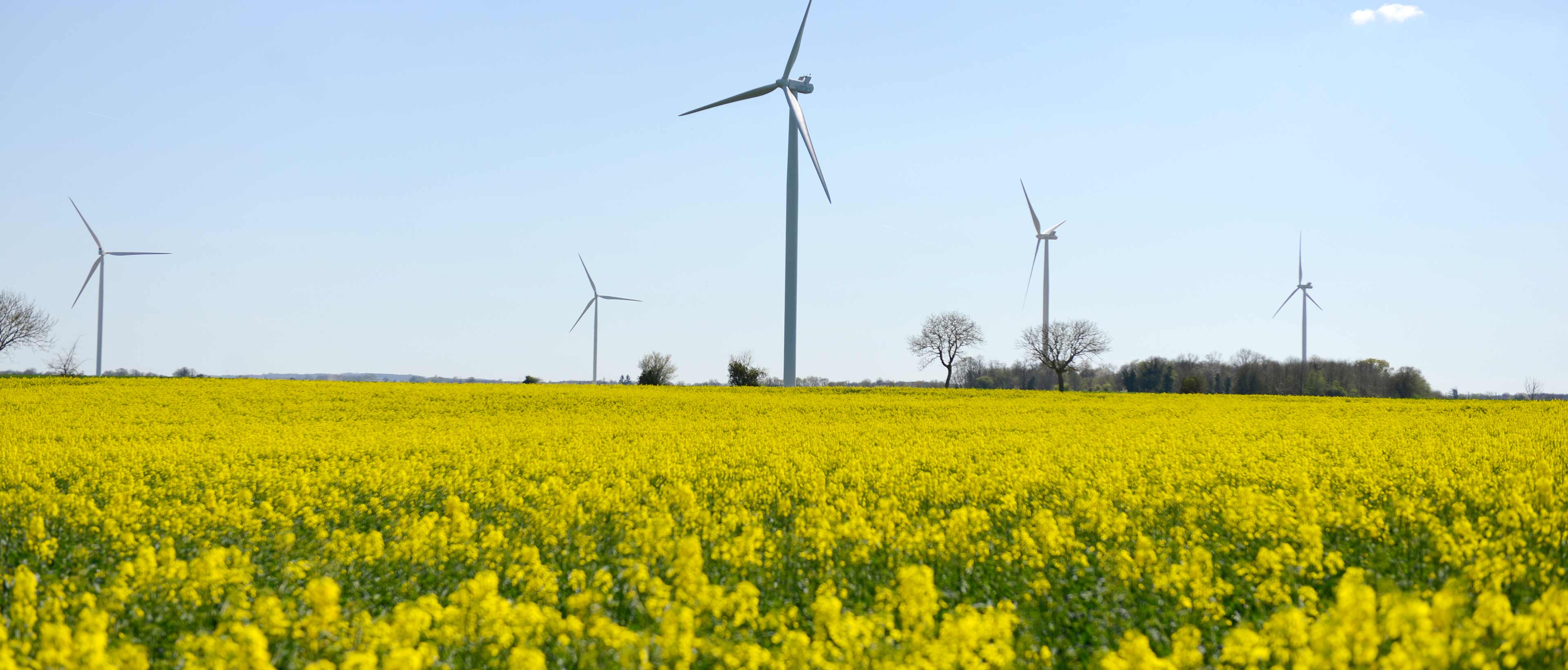 Photo d'éoliennes
