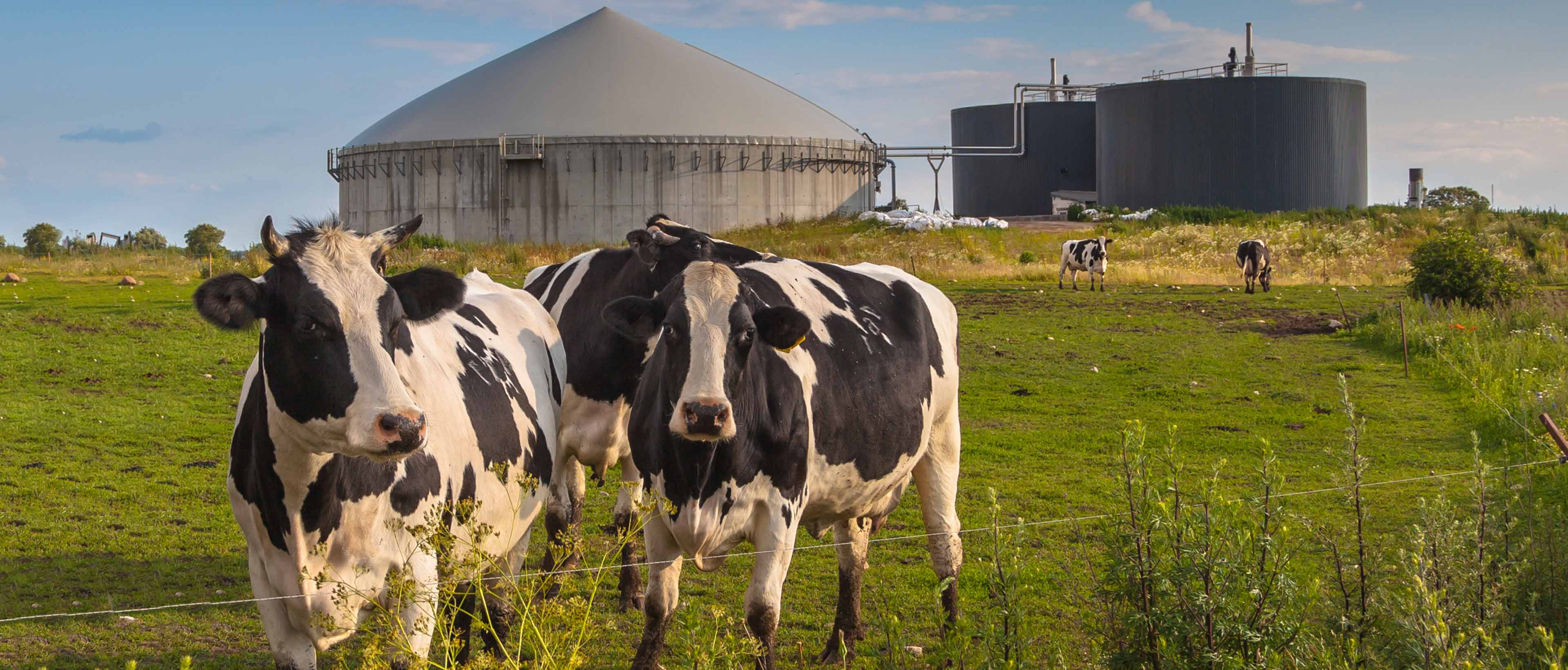 Méthanisation : recycler les déchets en énergie