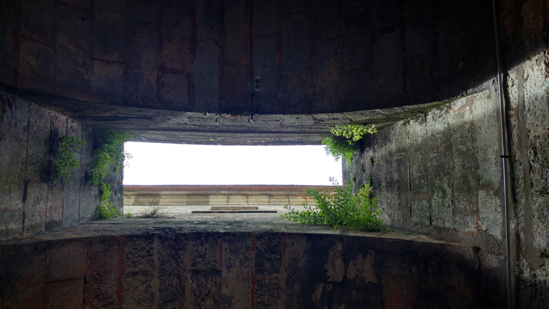 Citadelle
