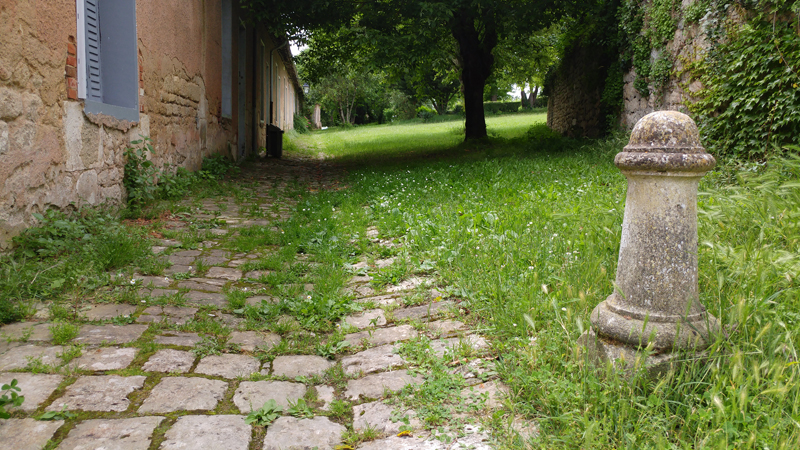 Citadelle