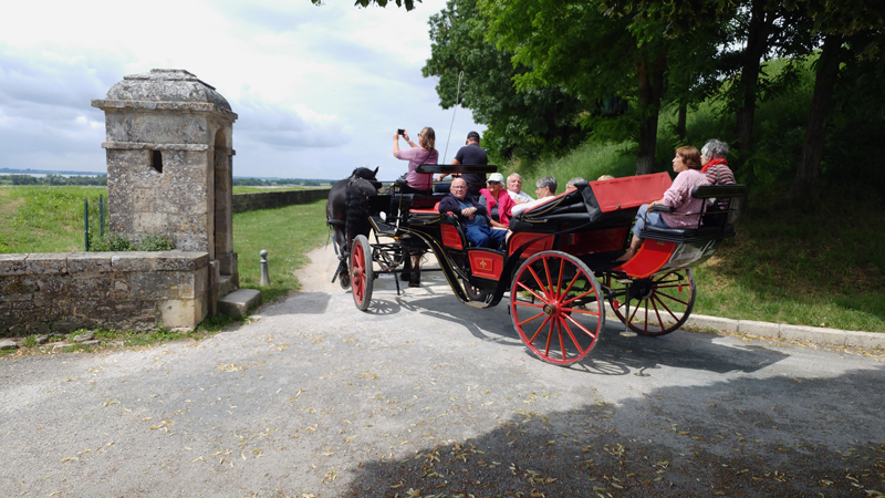 Citadelle