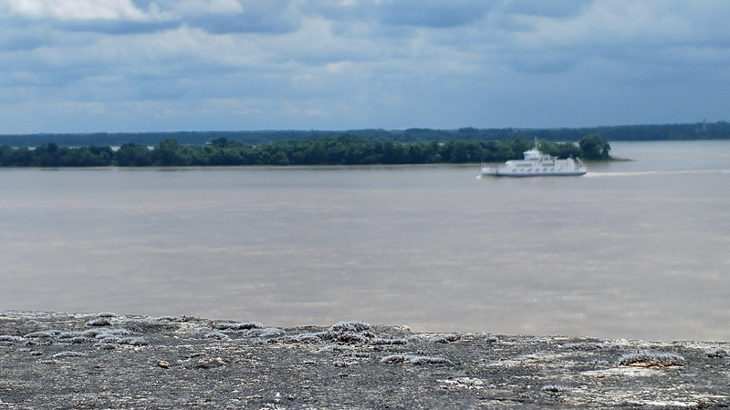 Estuaire