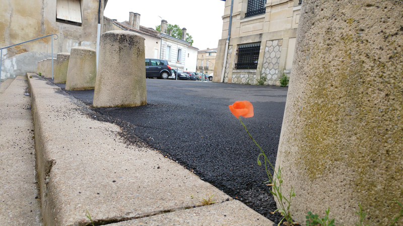 Rue Blaye 