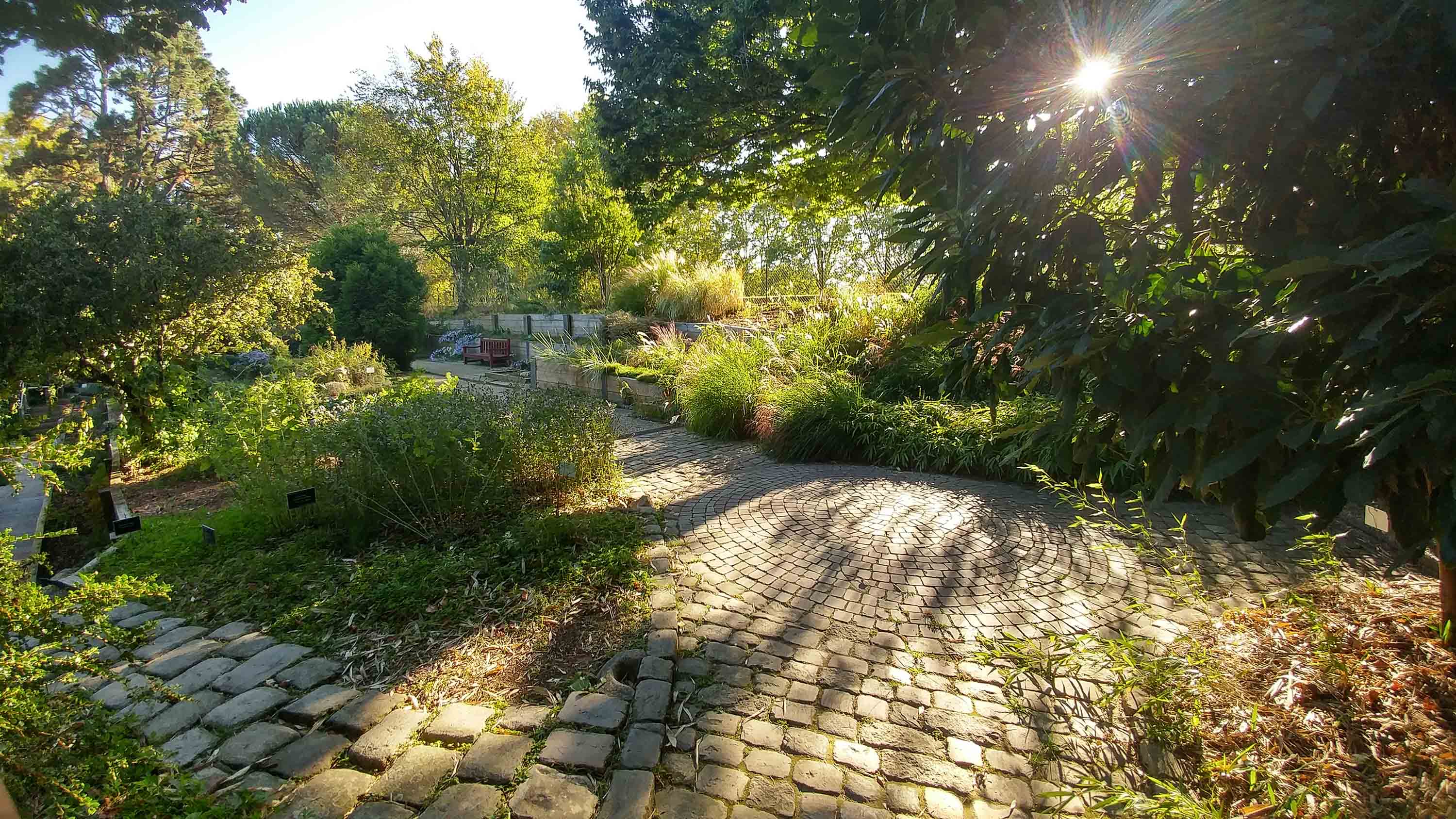 Jardin_botanique