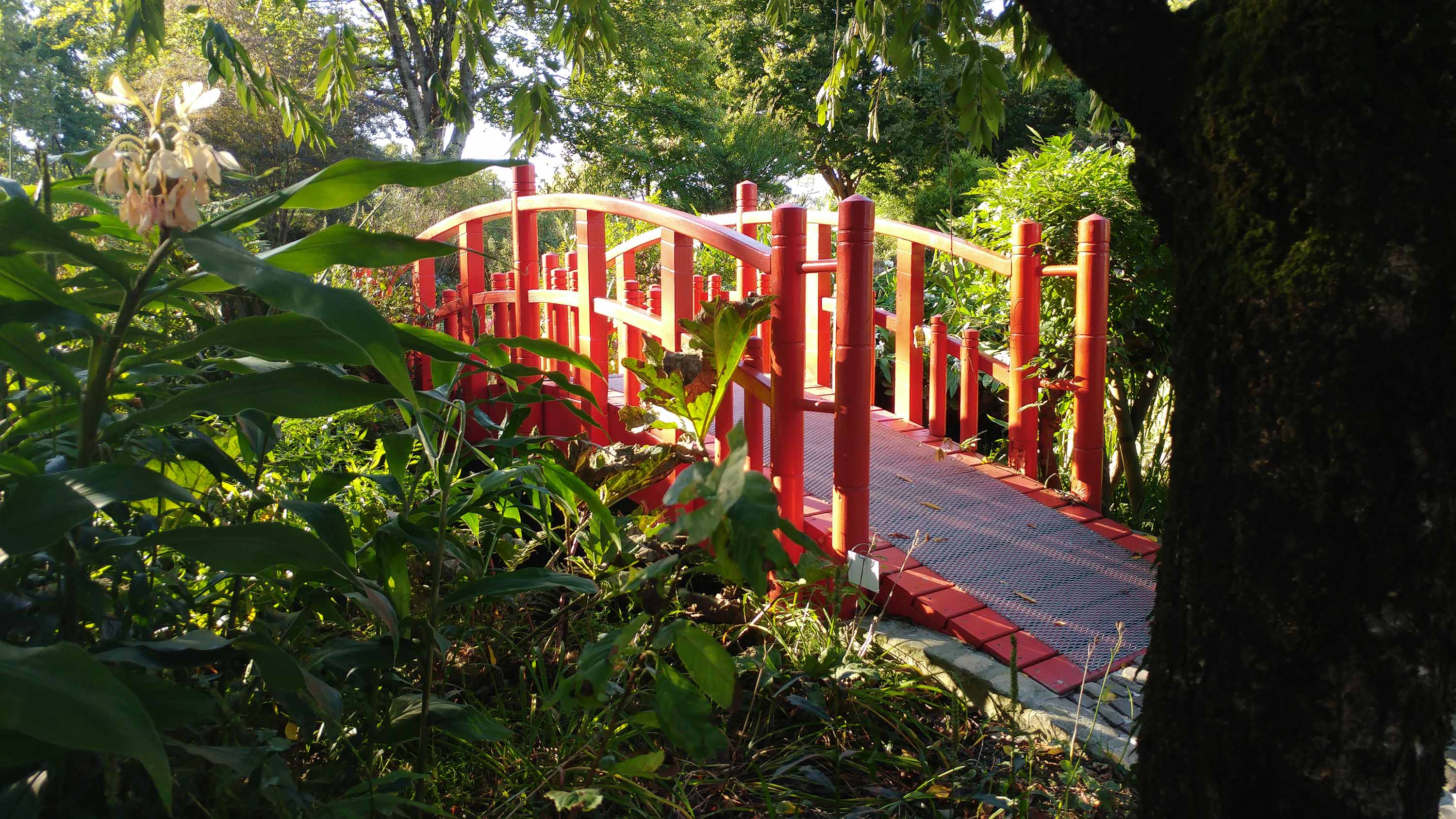 Jardin_botanique