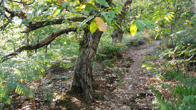 sentier_des_sources