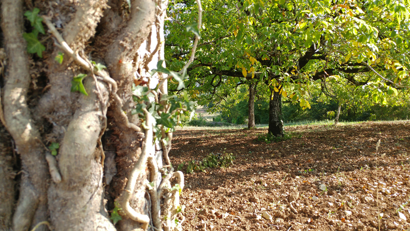 sentier_des_sources