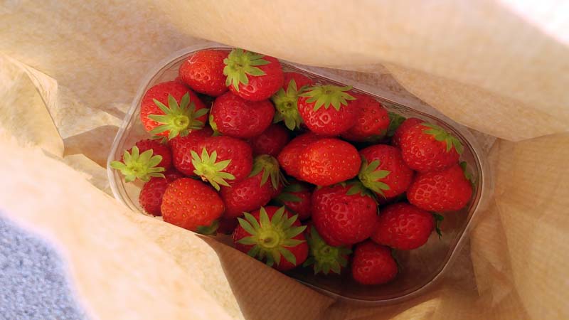 marche_producteurs