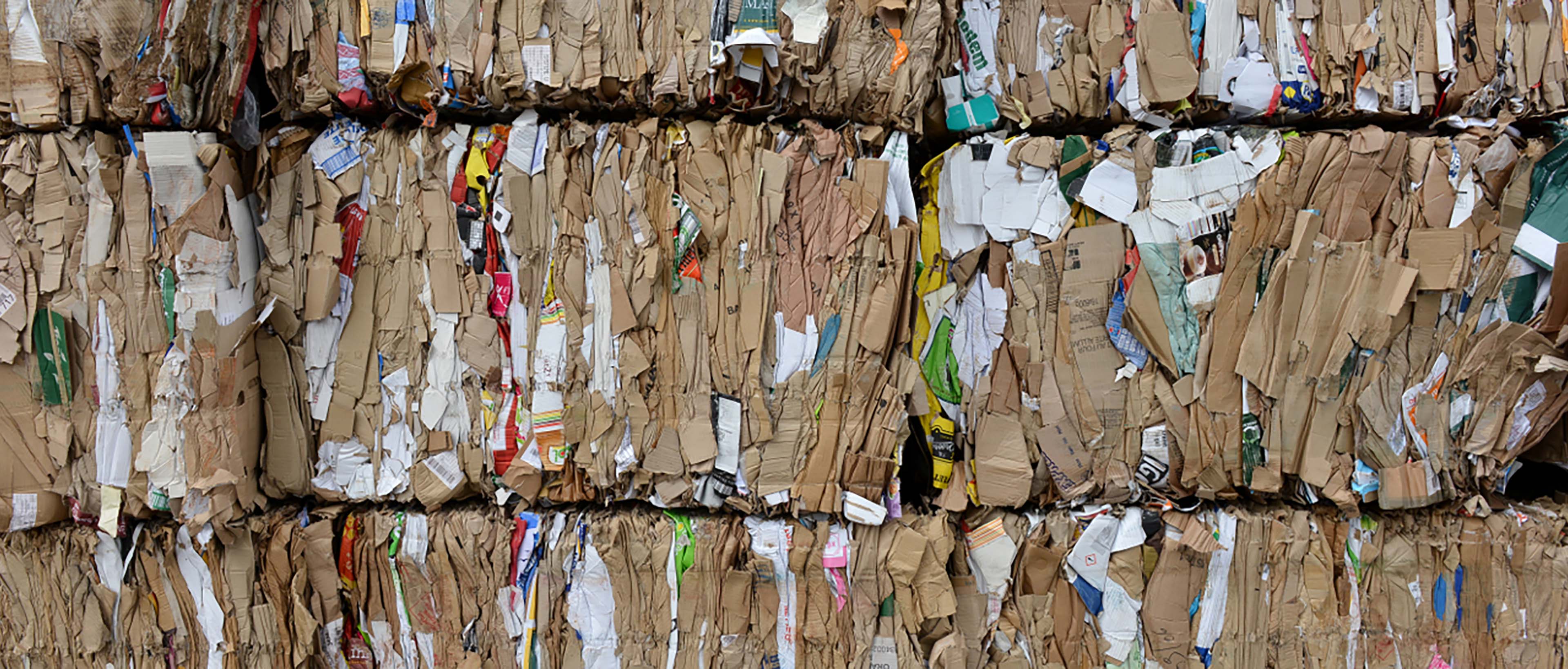 Déchets.jpg