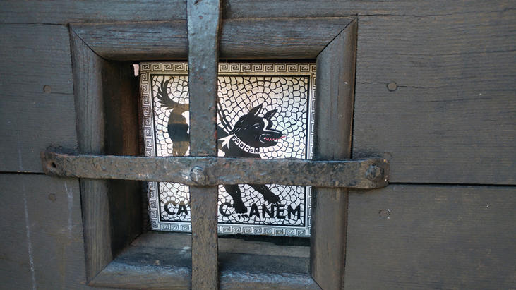 gare_au_chien