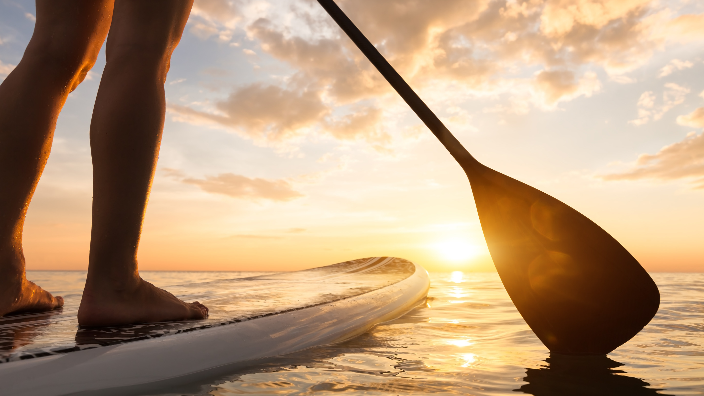Paddle