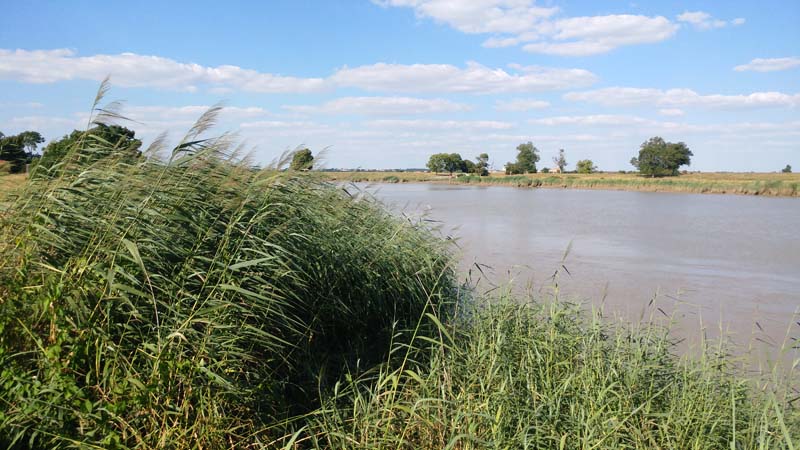Carnet de Marche- Rochefort- Chemin de Charentes 6