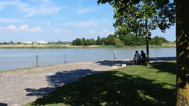 Carnet de Marche- Rochefort- La Charente 5