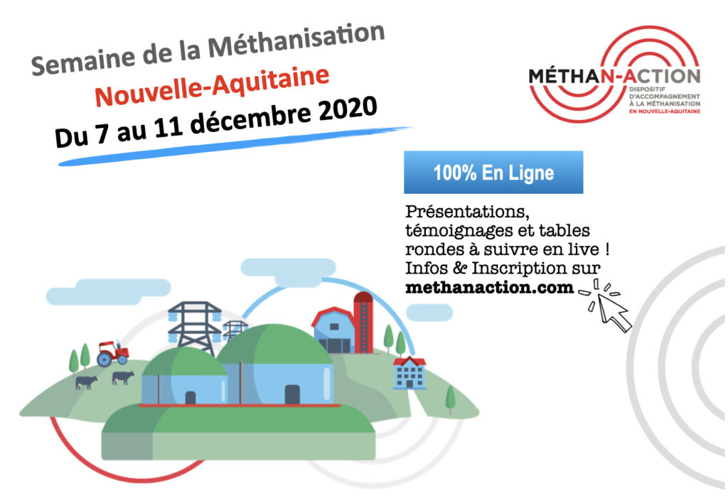 FLYER_SMNA_VF.001-1024x701.jpeg