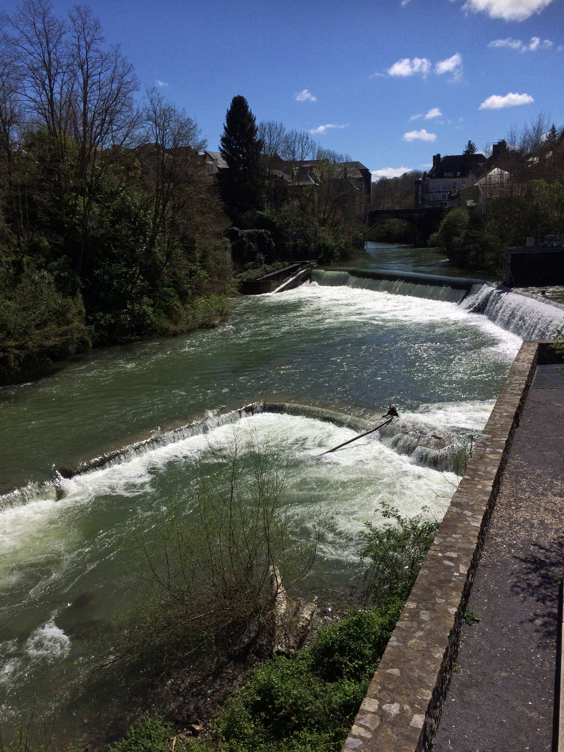 Muselières de l’eau