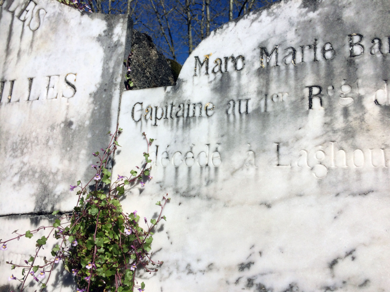 Mort à mon âge