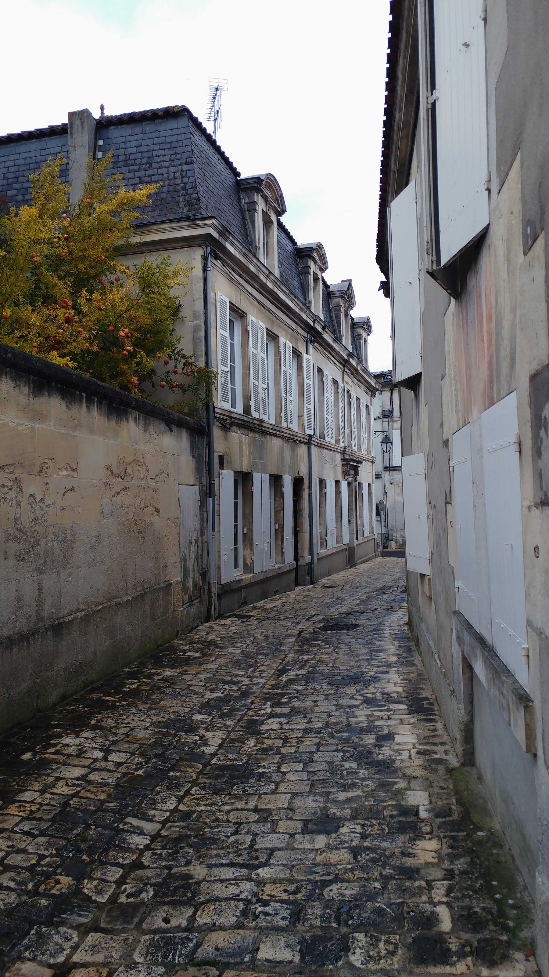 Rue pavée du vieux Cognac, sous la pluie.