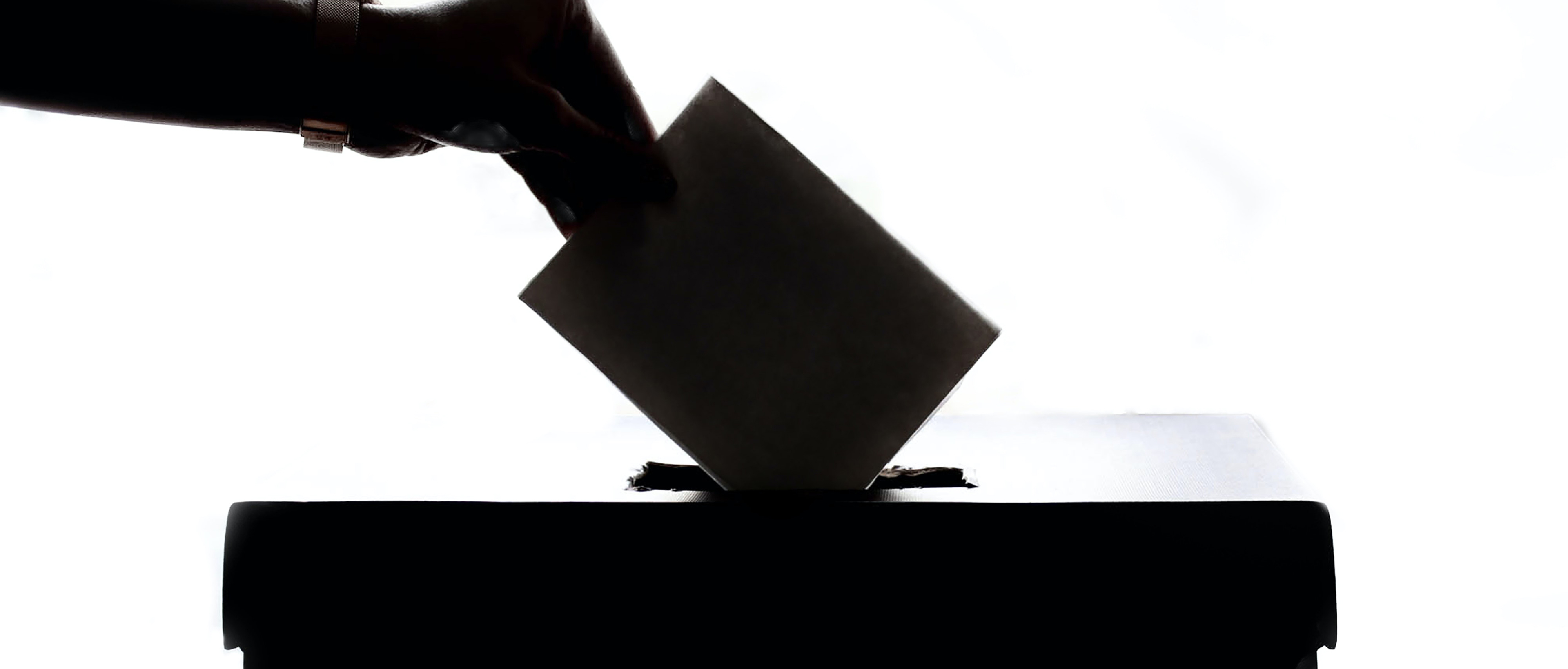 vote