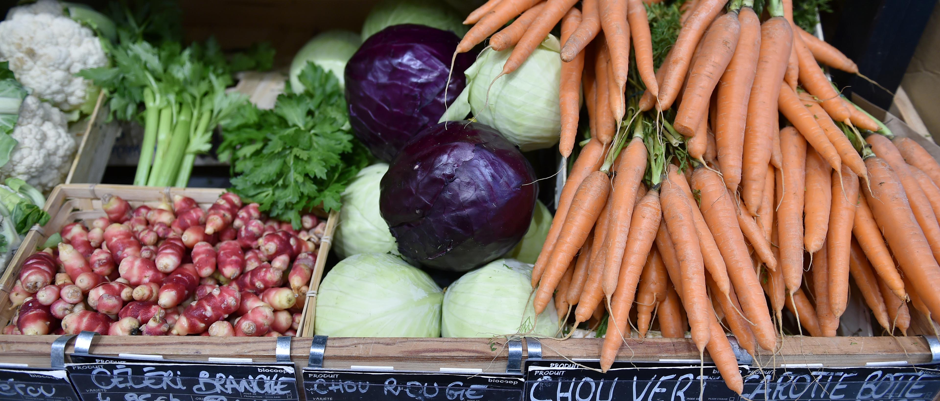 Etal de légumes bio : choux, céleris et carottes.