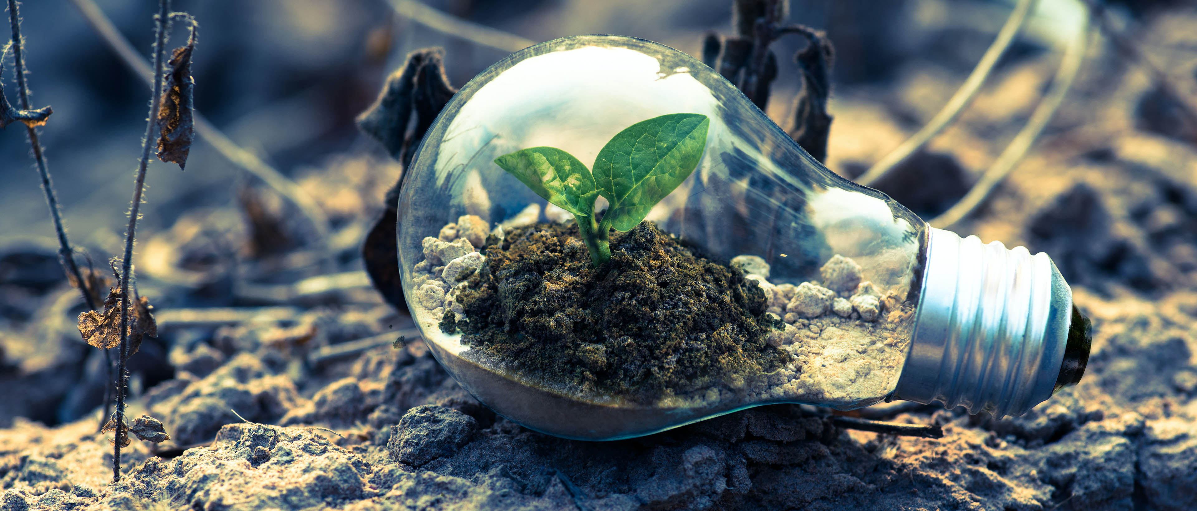 Illustration des enjeux de l'environnement et des solutions