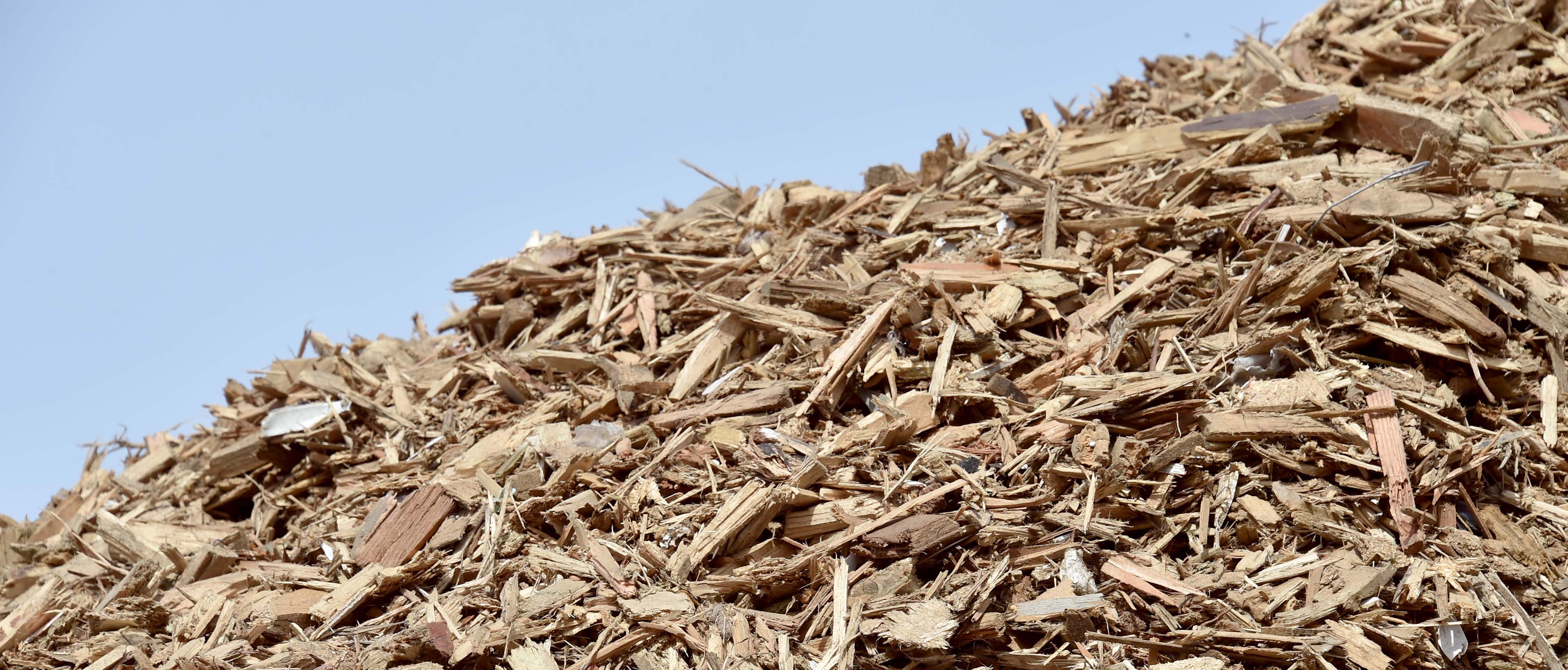 La biomasse, important gisement d’énergie pour la Nouvelle-Aquitaine