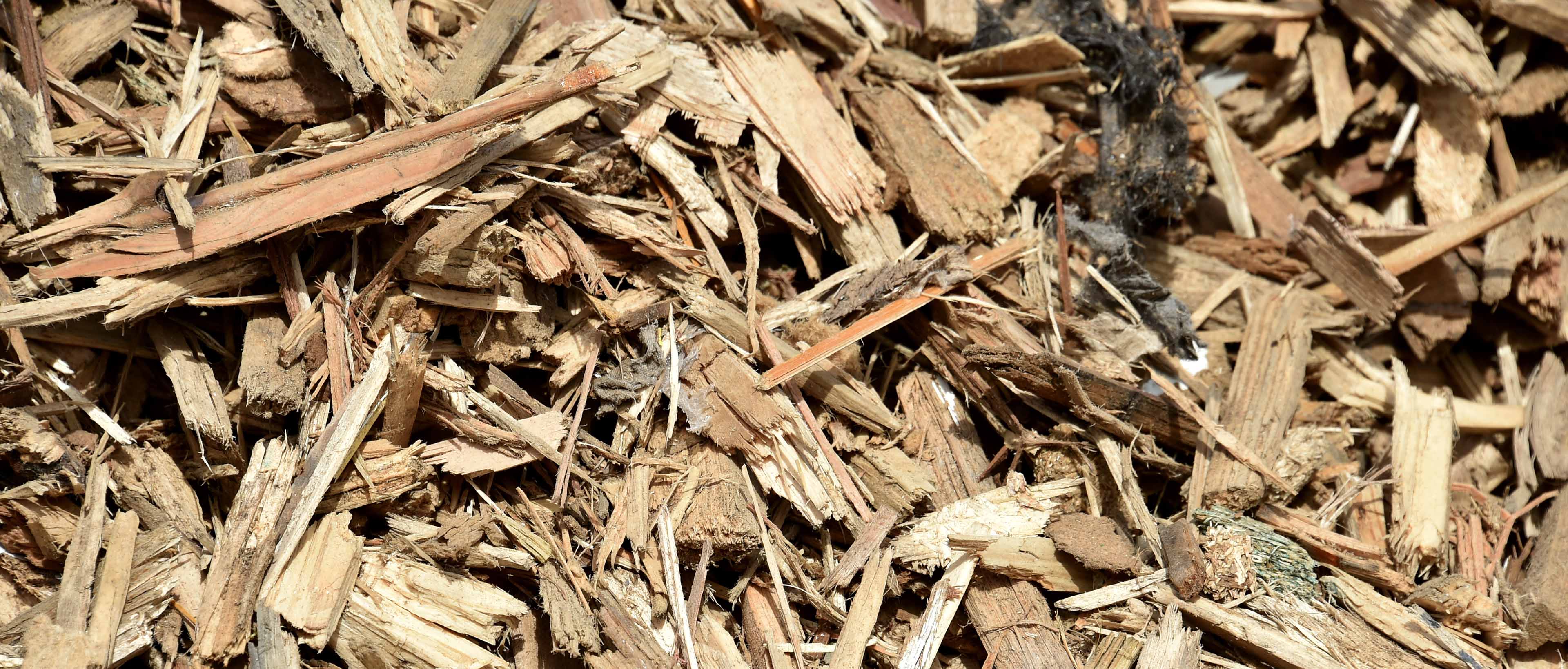 Copeaux de bois