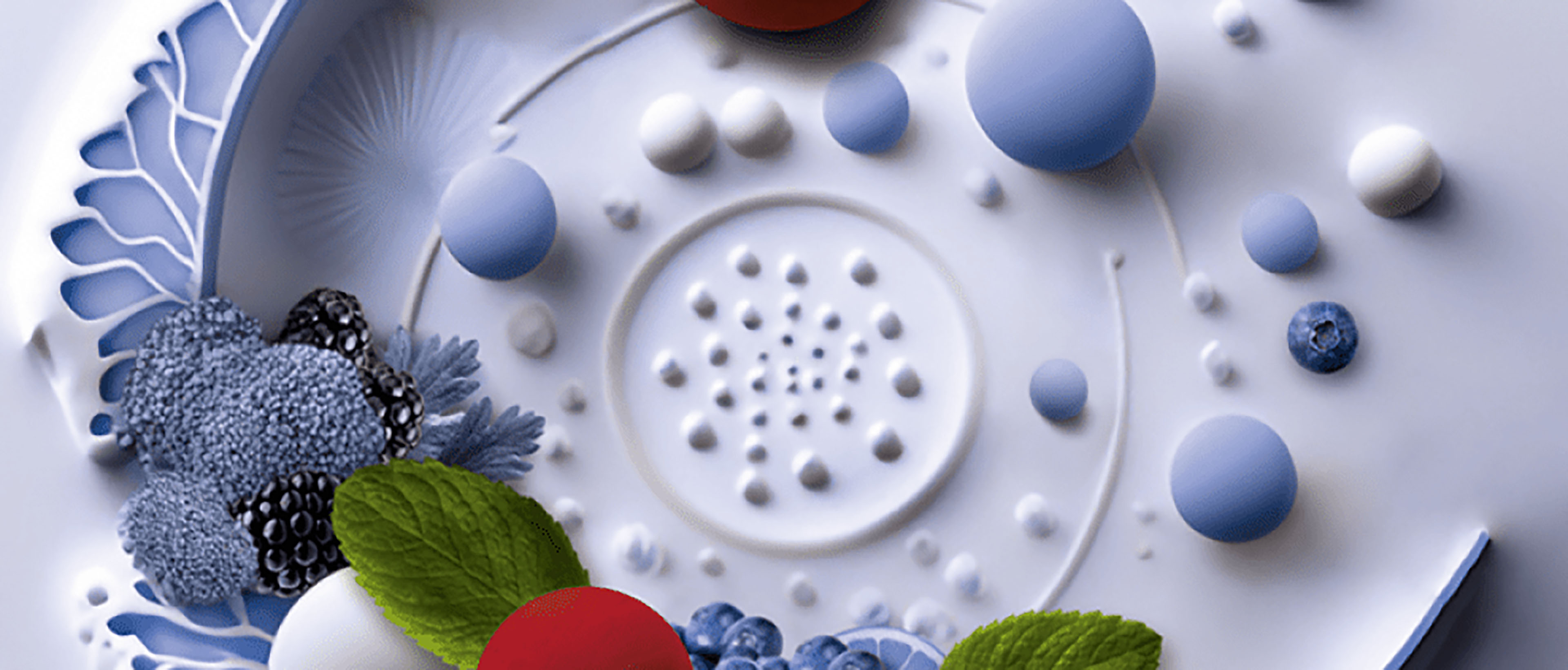 Toques et porcelaine 2023 - affiche - photo assiette et fruits rouges