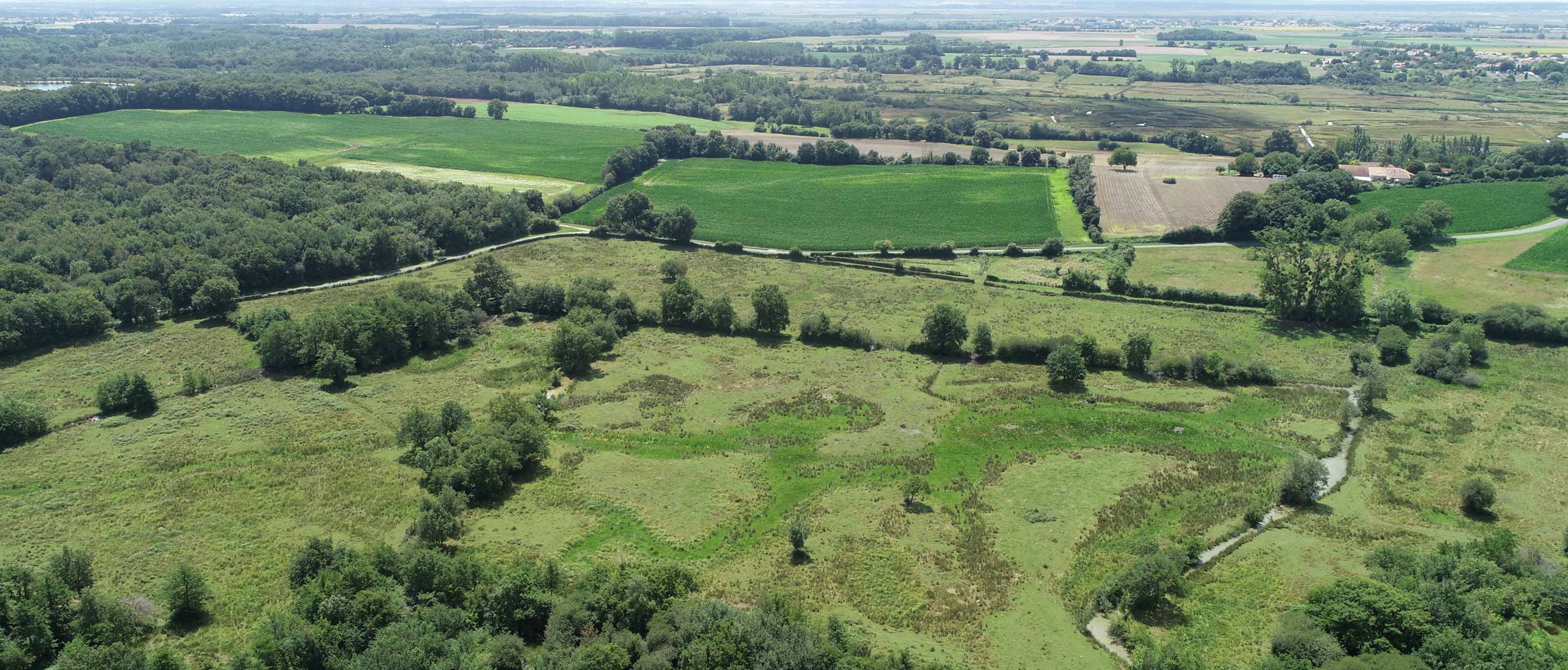 Réserve naturelle régionale de La Massonne