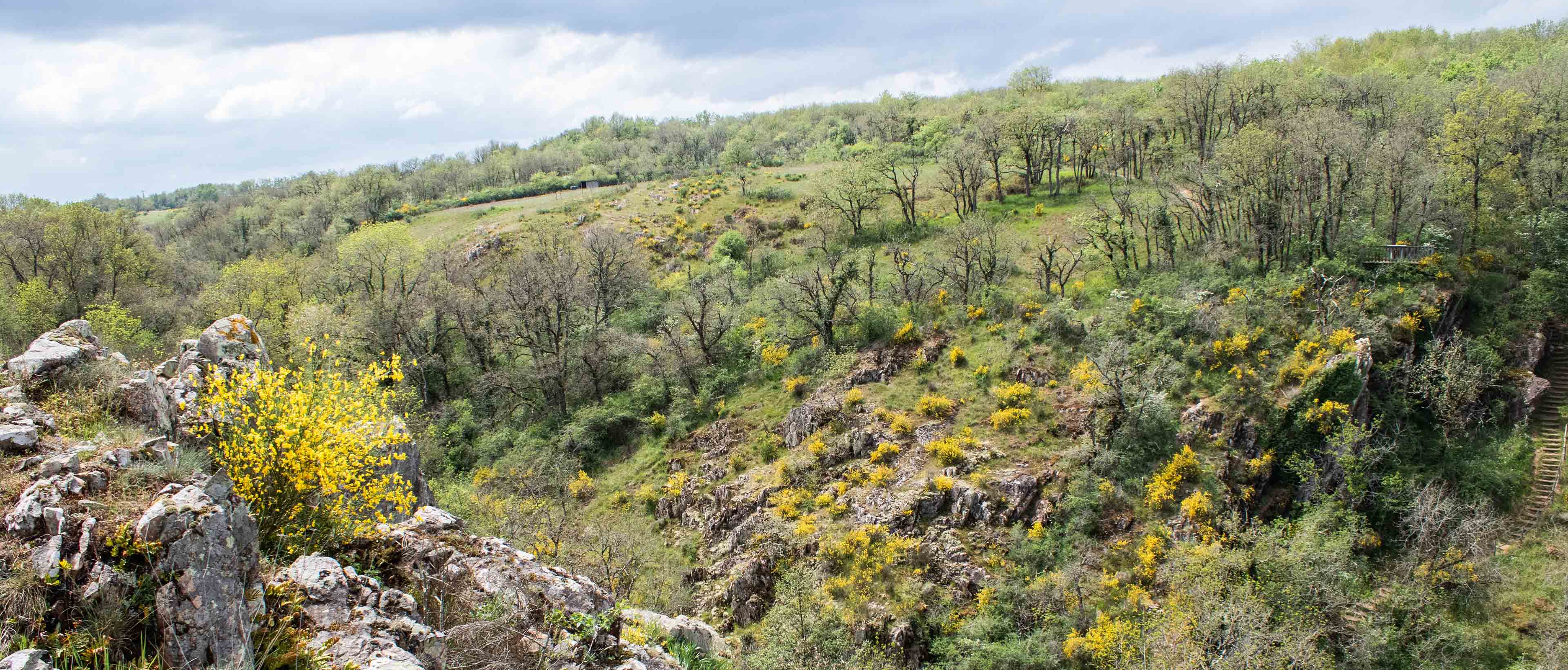 RNR Vallée du Pressoir