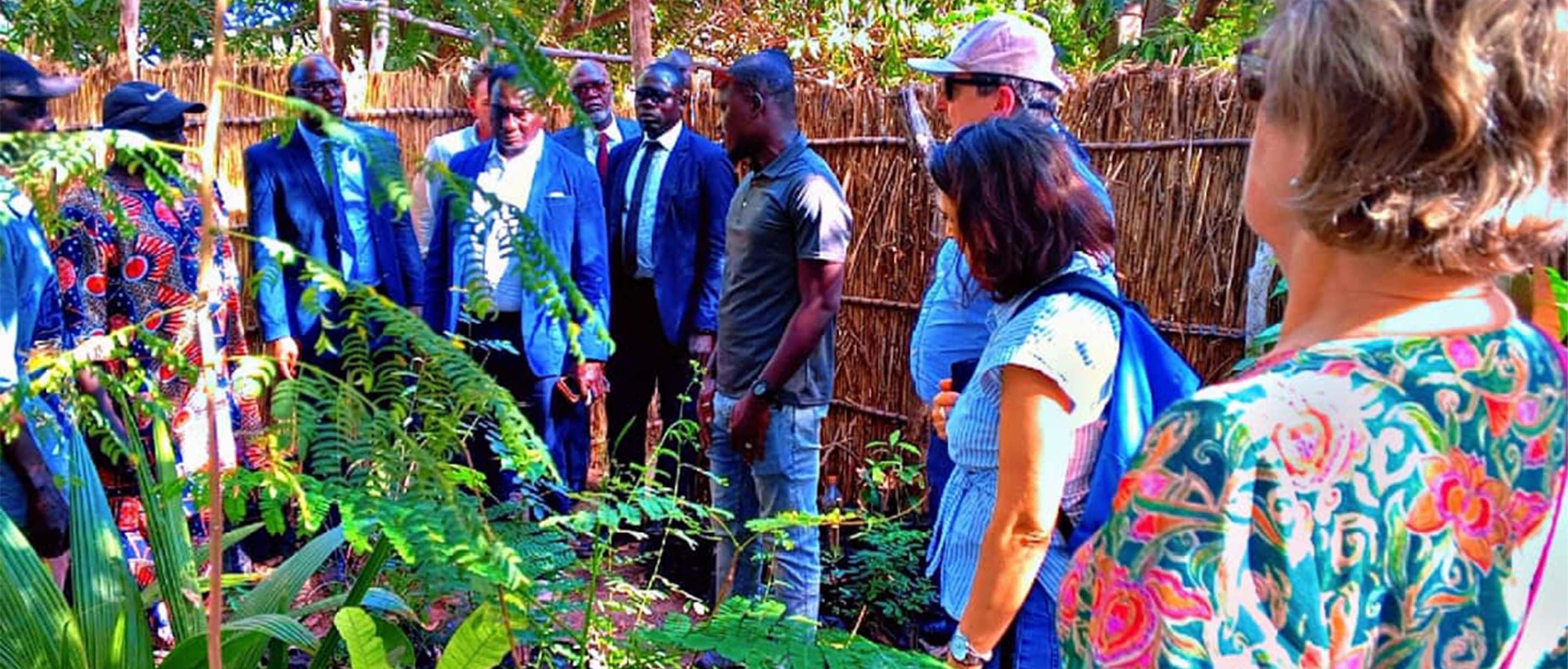 Visite au Sénégal sur un projet d'énergies renouvelables 