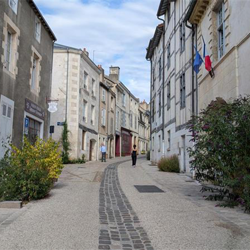 aménagements végétales en cœur de ville