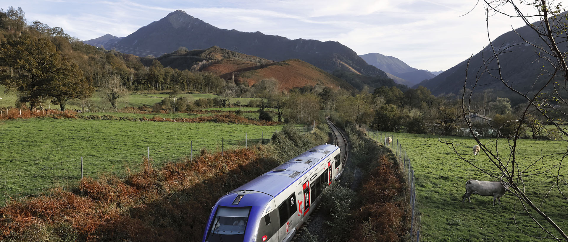 TER en Vallée d'Aspe
