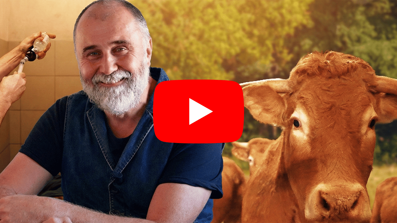 Néo, le portrait : doc Dauphin, vétérinaire du Limousin 