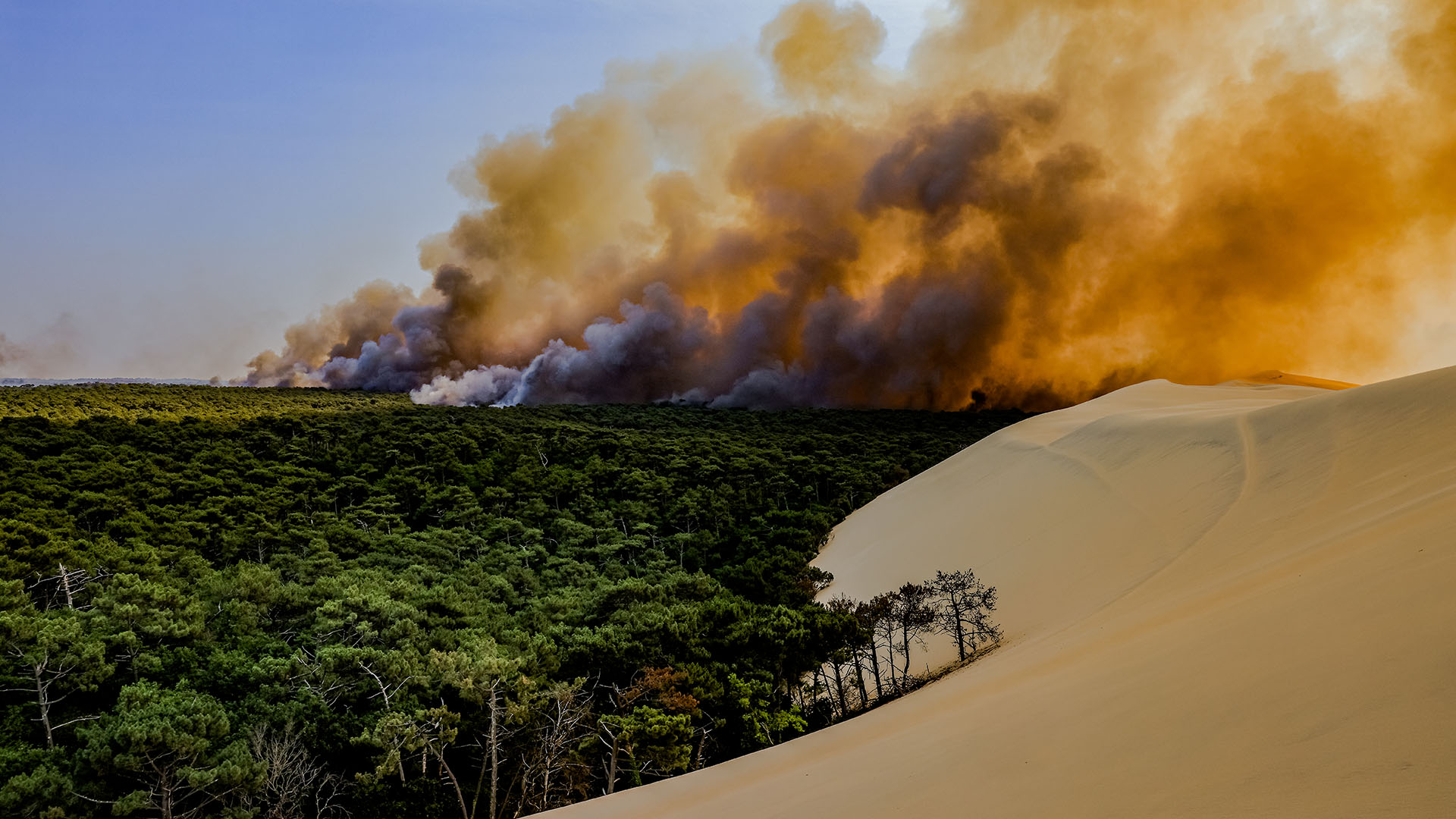 Feu de forêt derrière la dune du pilat
