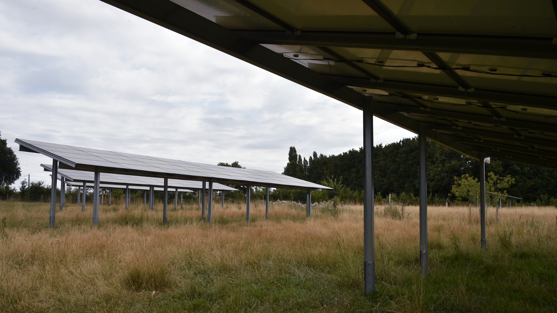 panneaux photovoltaïques dans un champ