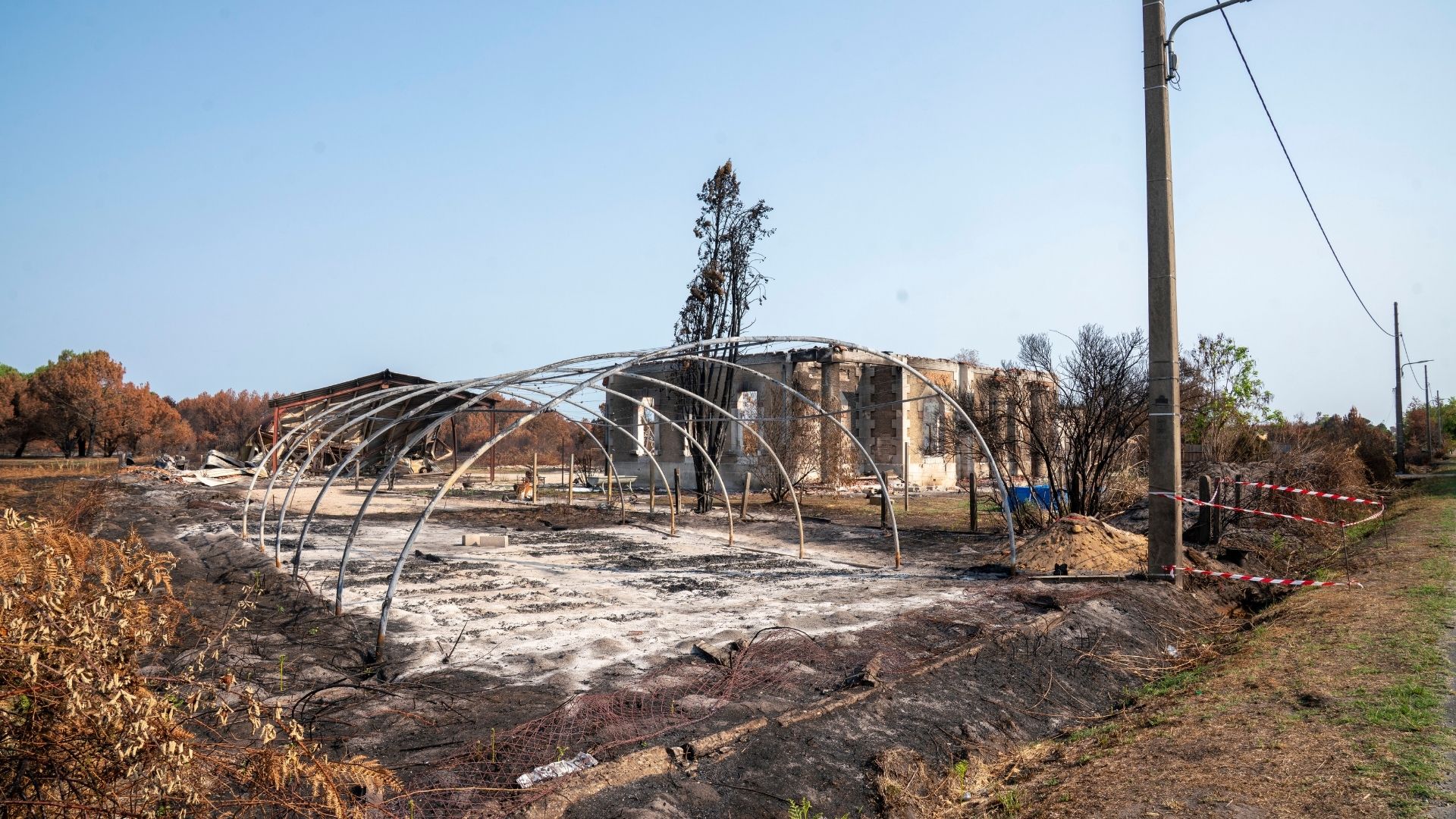 paysage de forets brûlées post Incendies de juillet 2026