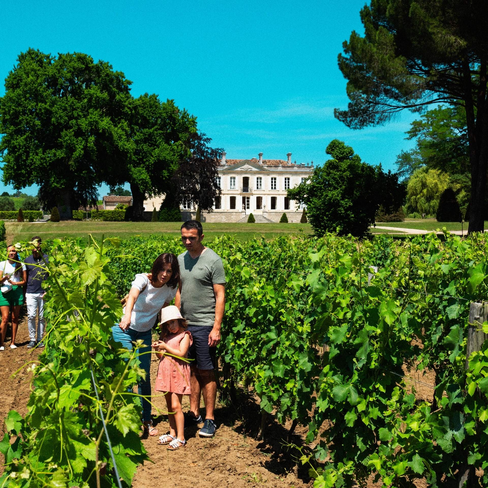 une famille dans les vignes