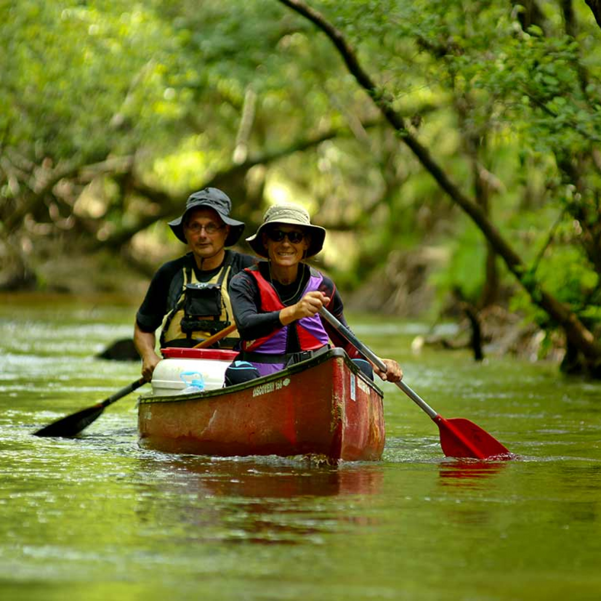 Photo du PNR Landes de Gascogn