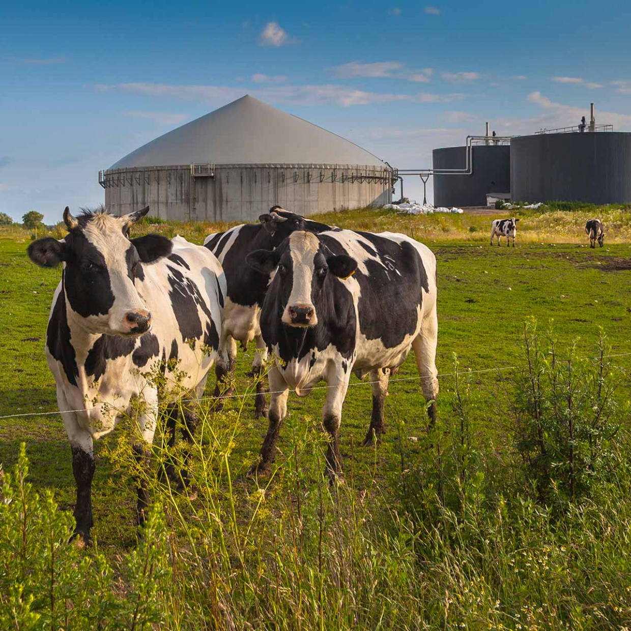 La méthanisation, une filière d'avenir