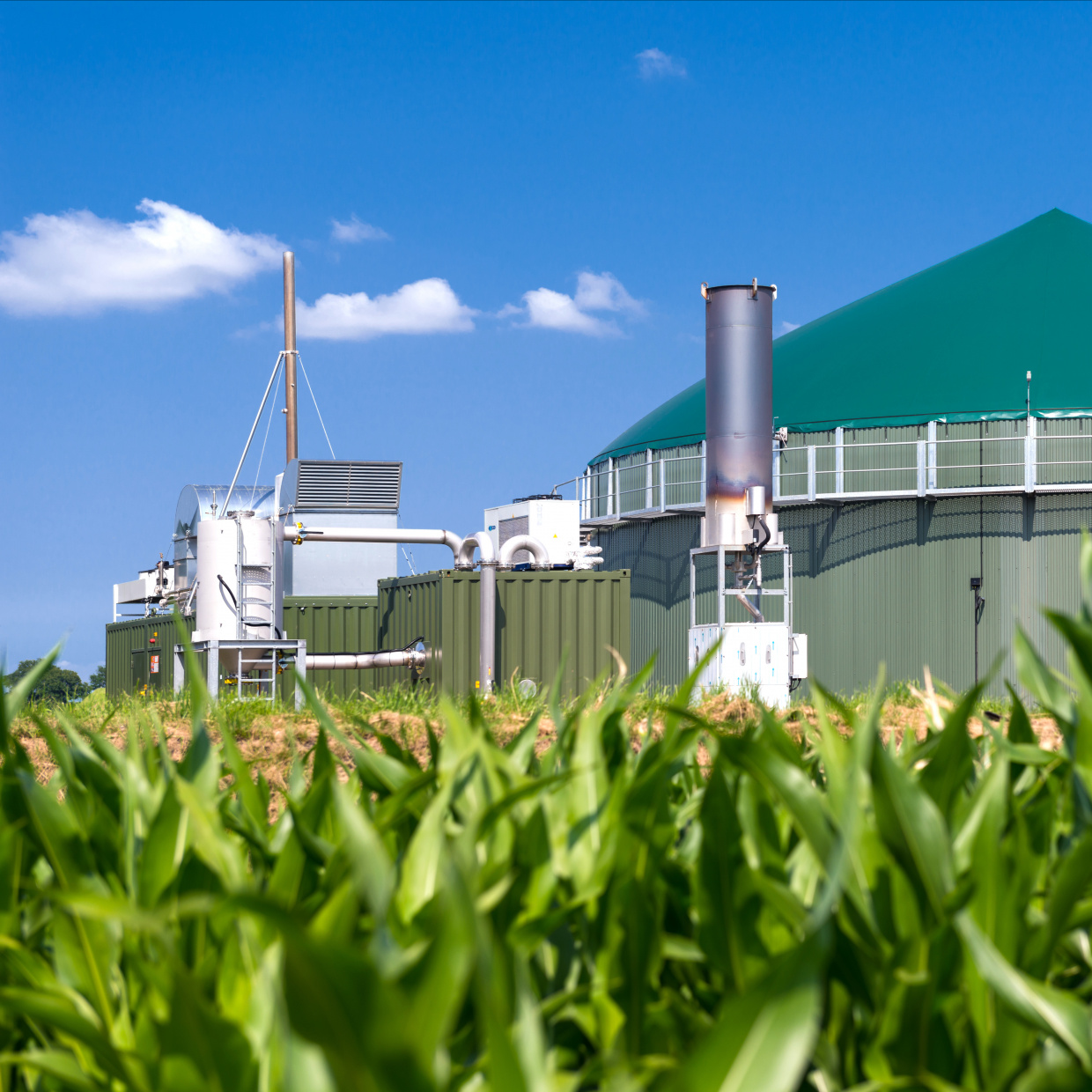 Une filière vertueuse soutenue par la Région