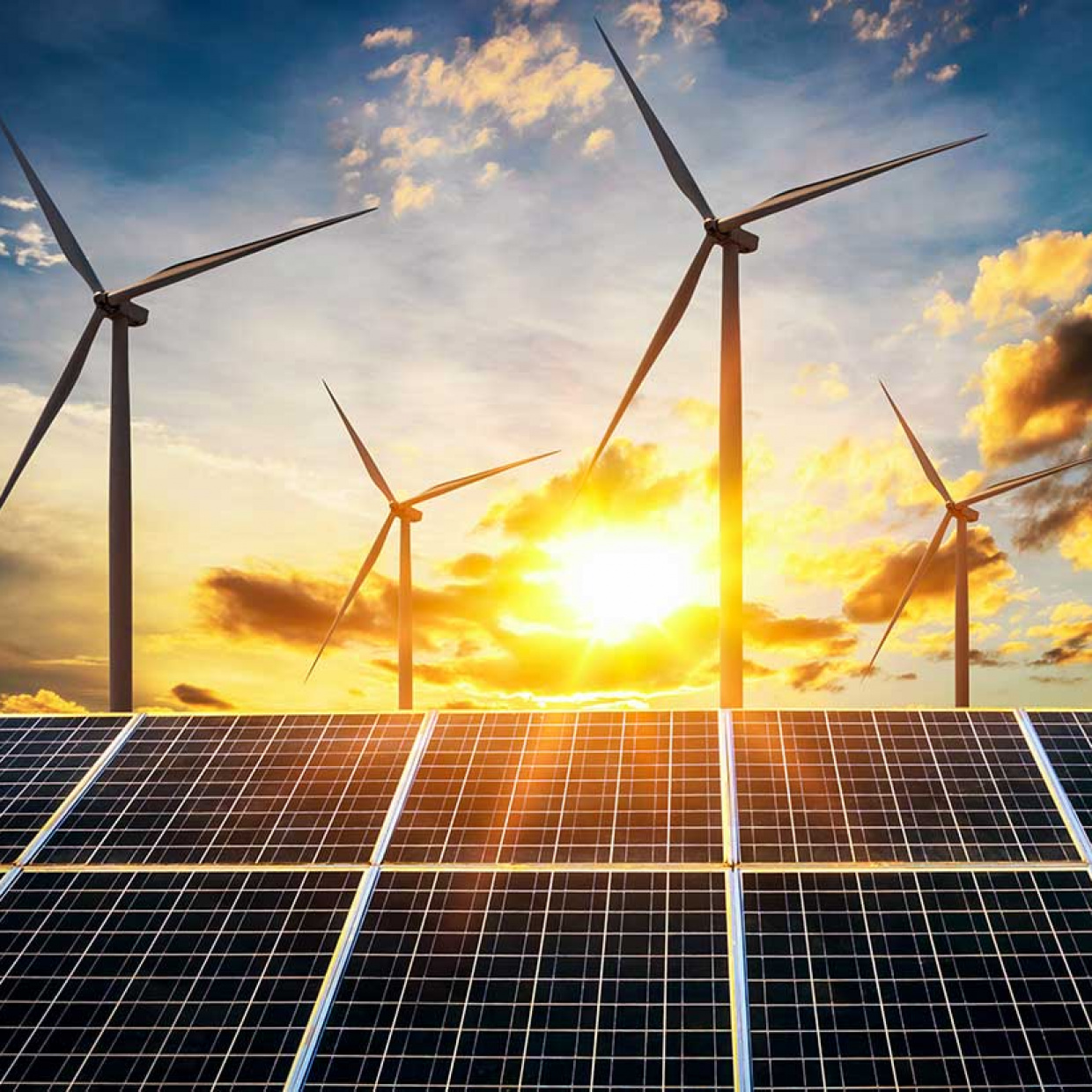 Photo de panneaux photovoltaïque