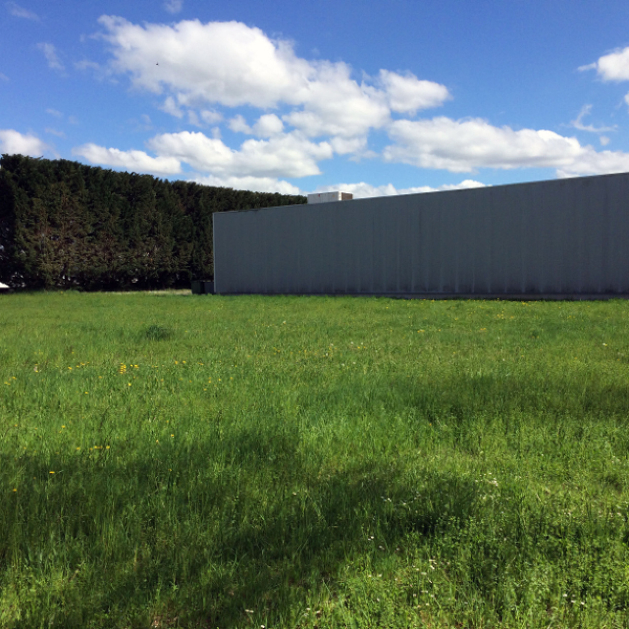 L’empire de la ligne et de l’angle droit