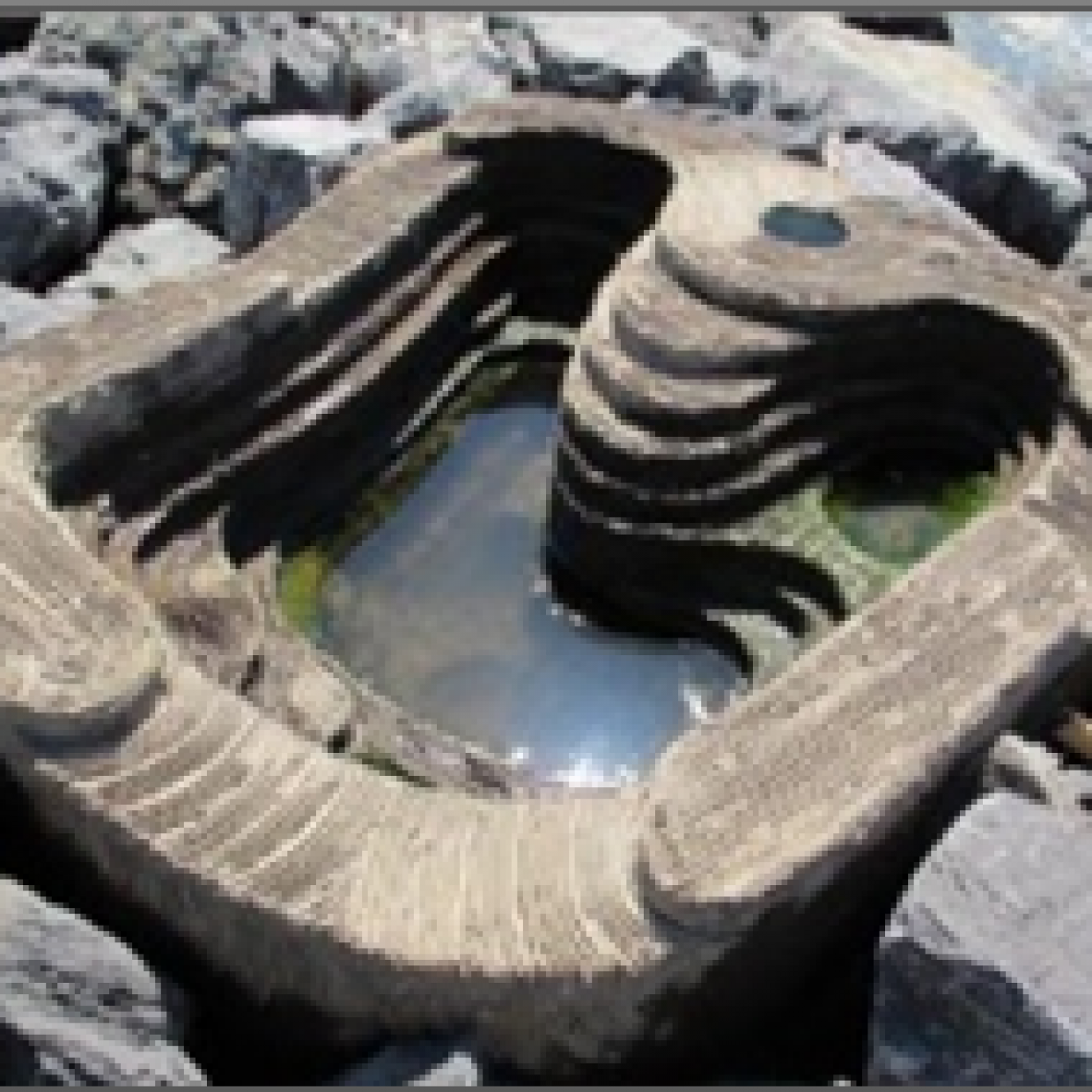 Aménagement pour alevins au port de Bayonne