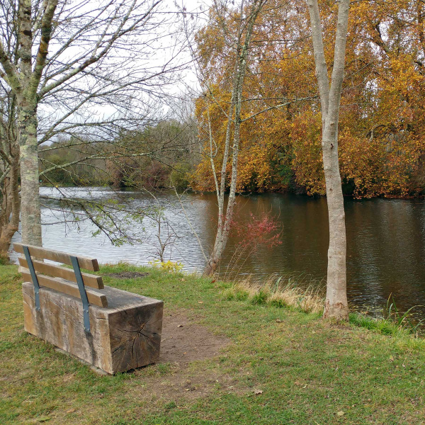 Un banc sur une des rives de la Charente, à Cognac