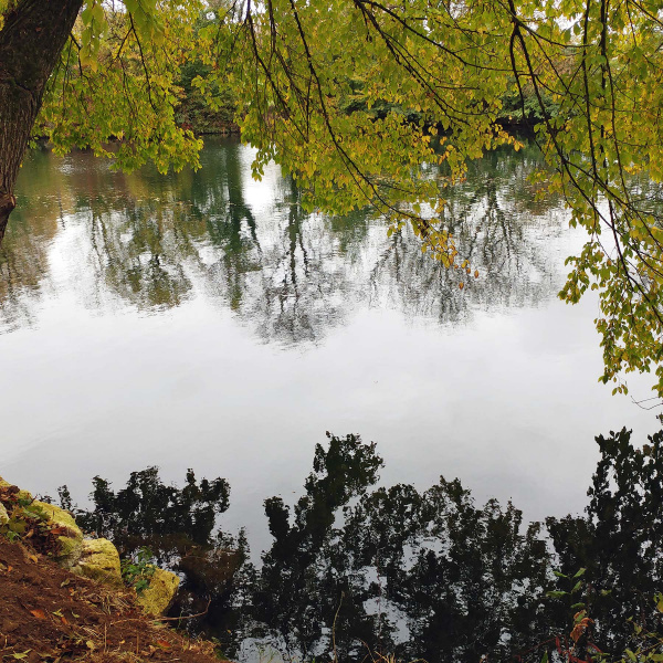 Le feuillage des arbres d'automne se reflète dans l'eau de la Charente et offre une vue romantique à Cognac.